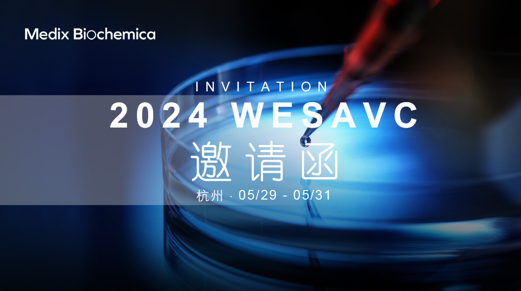 AMP 2022