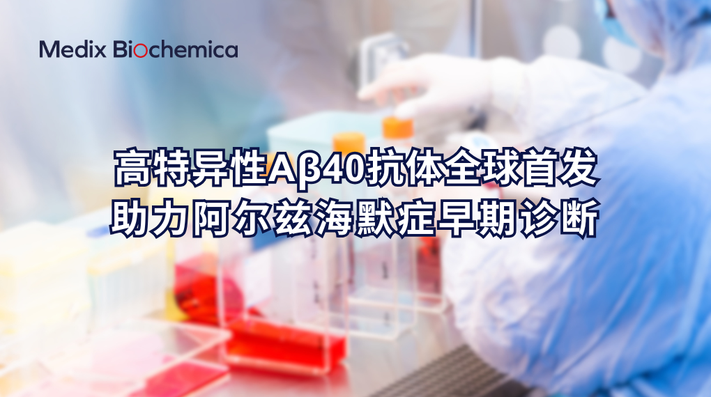AMP 2022