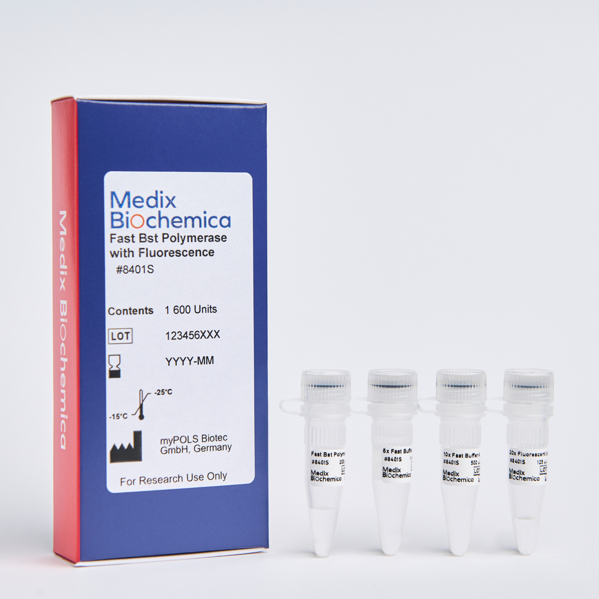 Fast Bst Polymerase with Fluorescence